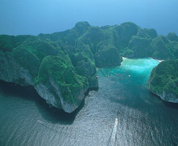Phi Phi 6