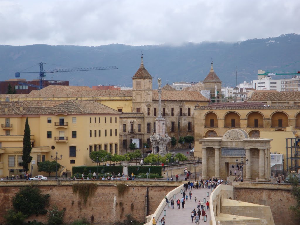 Индивидуальная автомобильная экскурсия в Кордобу с Коста дель Соль