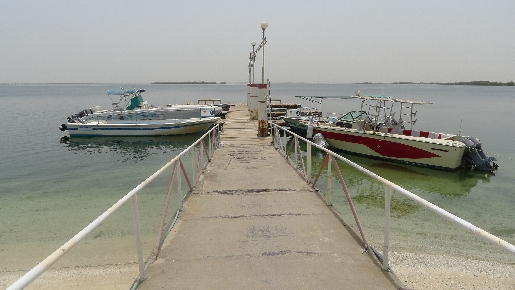 Охота на крабов