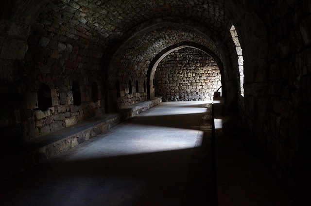 тур на день