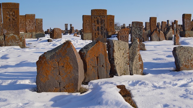 тур на день