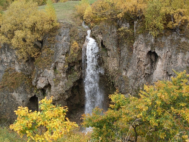 Лф медовые водопады фиалка фото