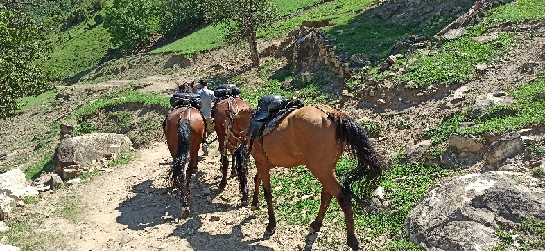 Байчечекей гулу фото